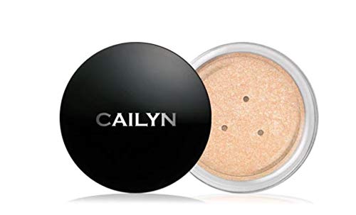 CAILYN Professional Deluxe Artist Makeup Loaded Case, Light Skin